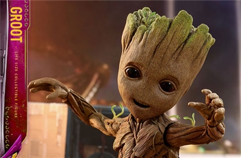 Groot