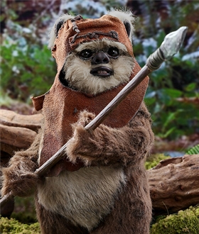 Wicket-Sixth-Scale-Figure-by-Hot-Toys