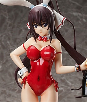 B-STYLE Infinite Stratos Houki Shinonono Bare Leg Bunny Ver. 1/4