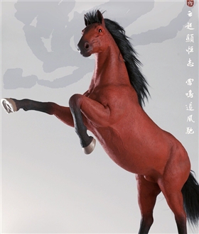 War-Horse-16