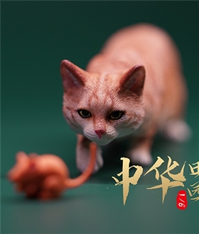 Chinese-Garden-Cat-20-Hunting-Edition-16