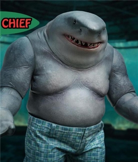 Shark-Chief-16