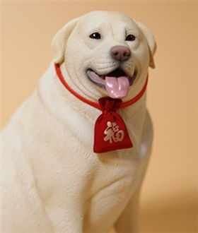 Labrador-16