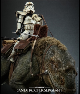 Sandtrooper-Sergeant-Dewback-Star-Wars-Episode-IV-A-New-Hope-16