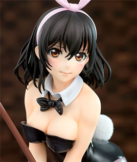 Strike-the-Blood-Yukina-Himeragi-Bunny-Girl-Style-17