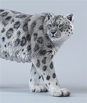 Snow-leopard-16
