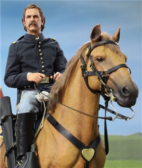 Civil-War-Brown-Warhorse-16