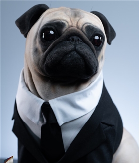 Franke - Men In Black 1/1