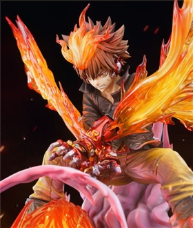 Double x Burner Sawada Tsunayoshi