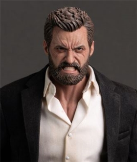 Old Logan 1/6