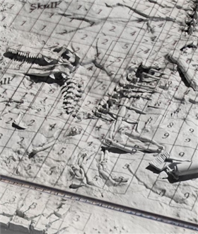 Velociraptor Excavation Map [Jurassic Park III]