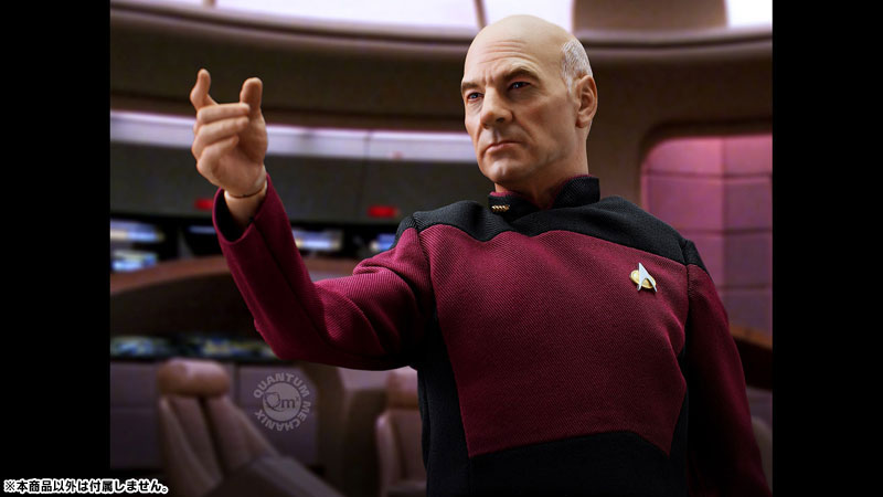 Star Trek Master Series - Star Trek TNG: Jean Luc Picard 1/6