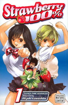 มังงะ Ichigo 100% กำลังจะวาดเรื่องราวภาคพิเศษ