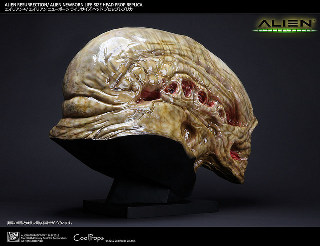CoolProps Alien Newborn Life-Size Head