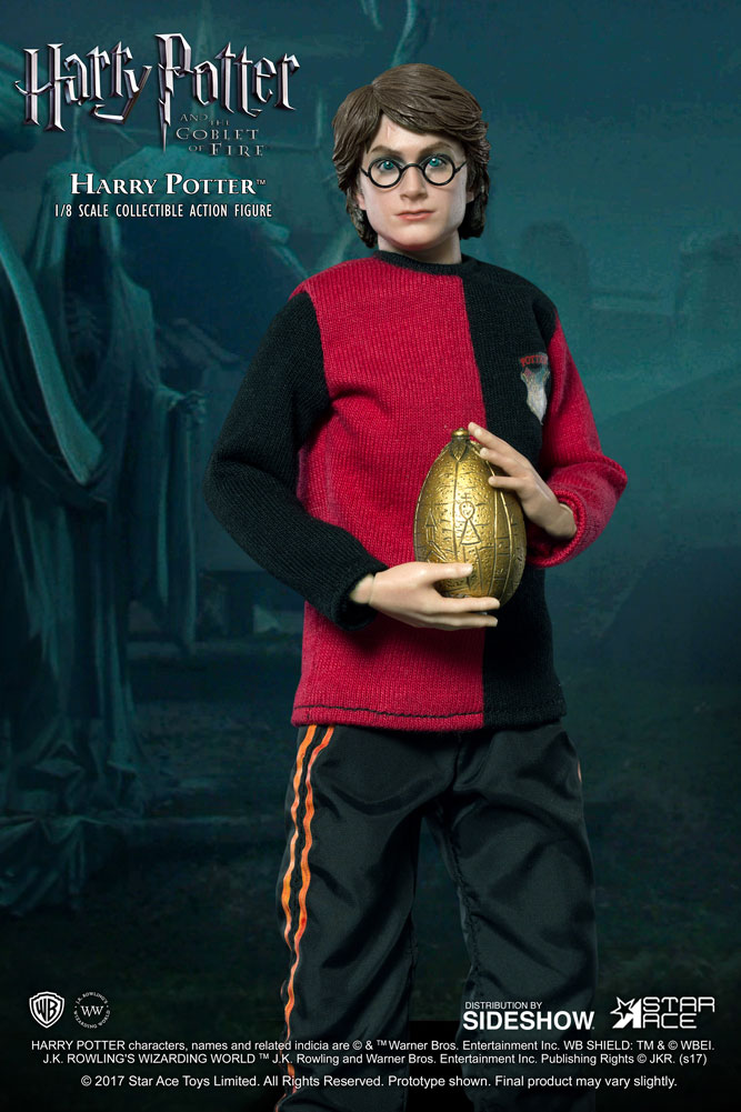 Harry Potter (Tri-Wizard Tournament Version 2)