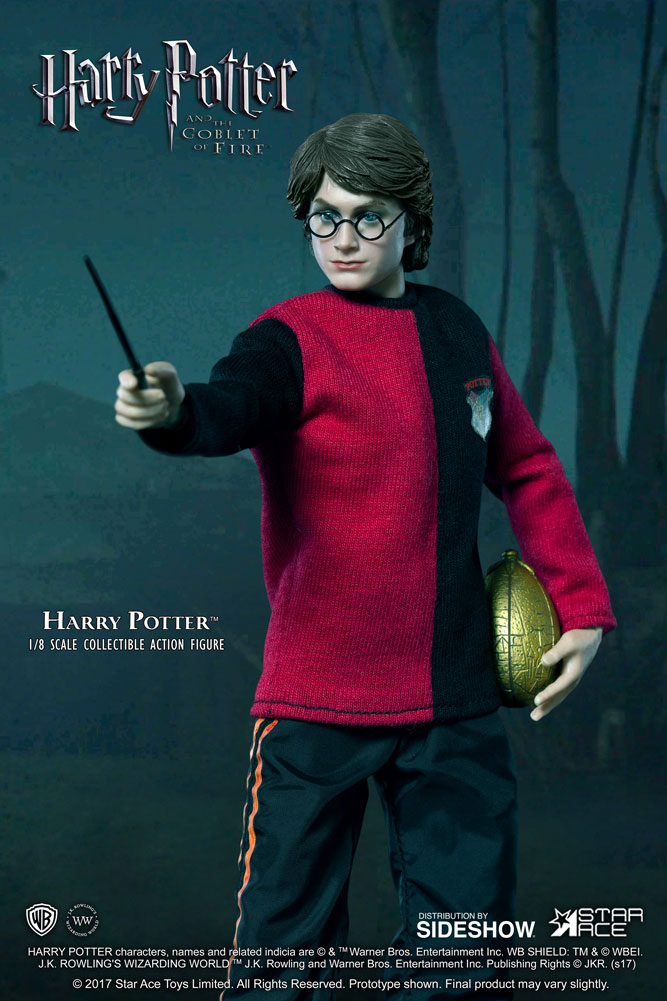 Harry Potter (Tri-Wizard Tournament Version 2)