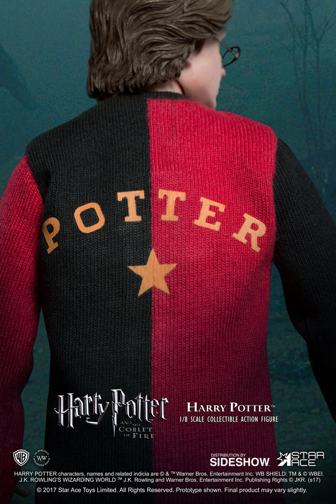 Harry Potter (Tri-Wizard Tournament Version 2)