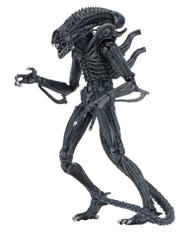 Alien - Alien Warrior Ultimate 7 Inch Action Figure: 2Type Set