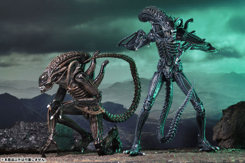 Alien - Alien Warrior Ultimate 7 Inch Action Figure: 2Type Set