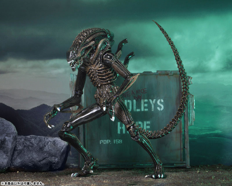 Alien - Alien Warrior Ultimate 7 Inch Action Figure: 2Type Set