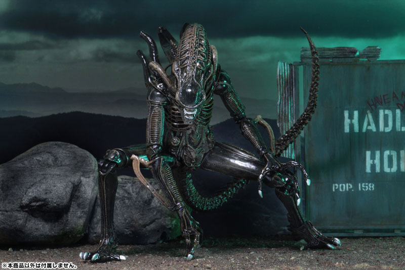 Alien - Alien Warrior Ultimate 7 Inch Action Figure: 2Type Set