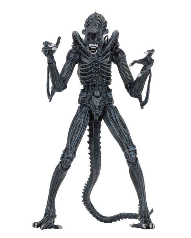 Alien - Alien Warrior Ultimate 7 Inch Action Figure: 2Type Set