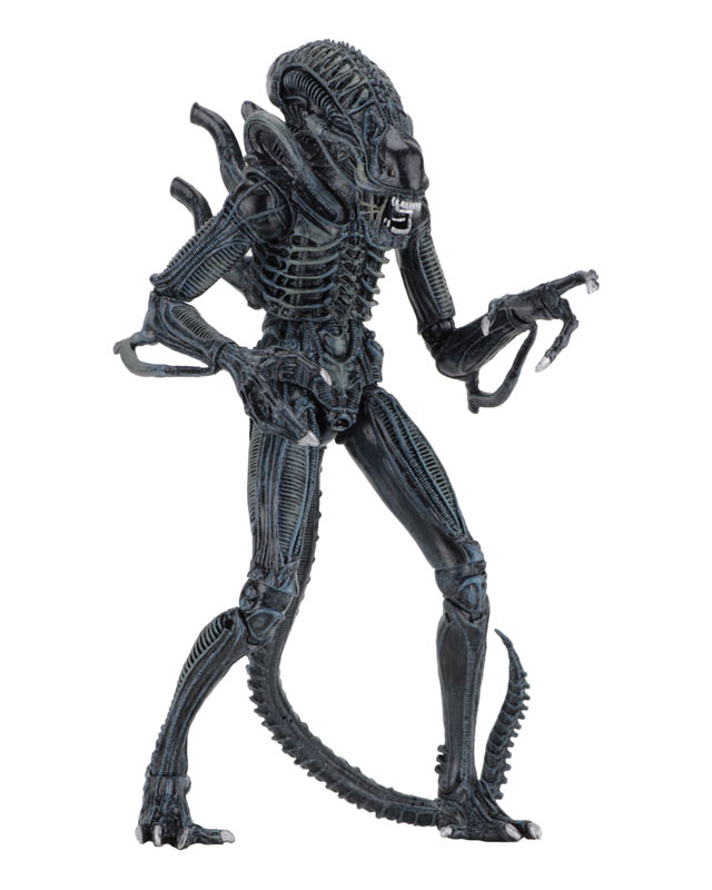 Alien - Alien Warrior Ultimate 7 Inch Action Figure: 2Type Set