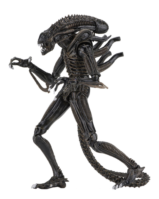 Alien - Alien Warrior Ultimate 7 Inch Action Figure: 2Type Set