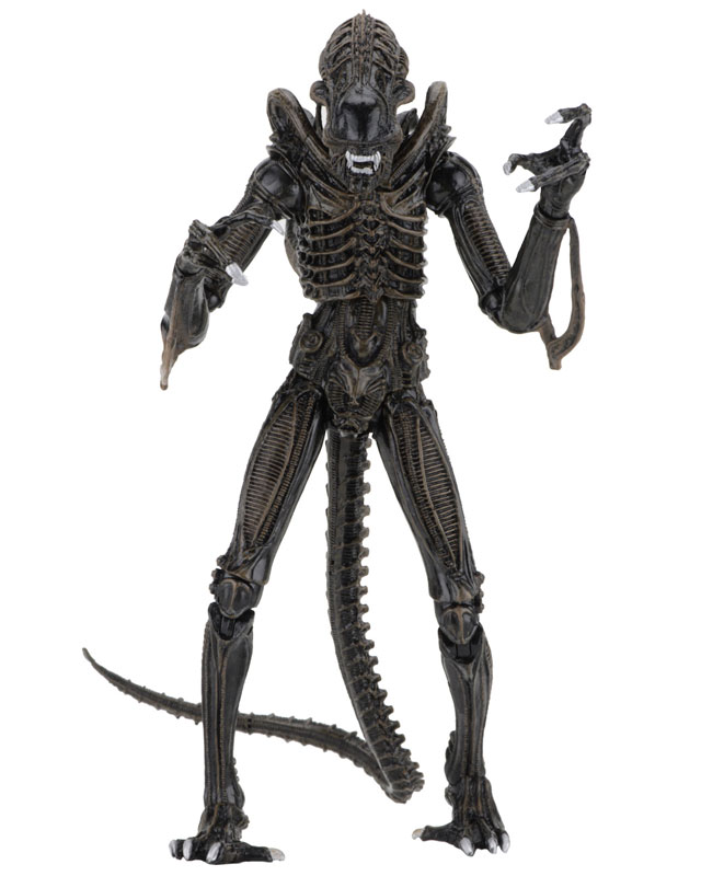 Alien - Alien Warrior Ultimate 7 Inch Action Figure: 2Type Set