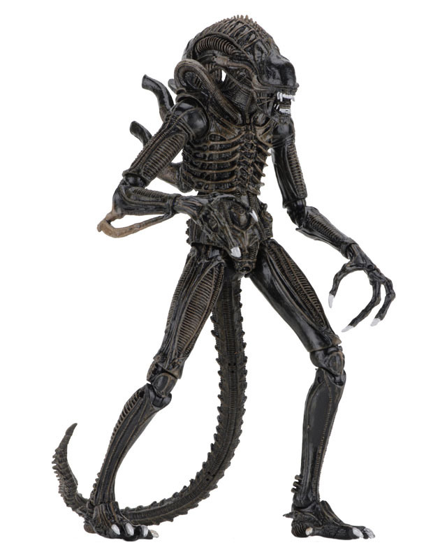 Alien - Alien Warrior Ultimate 7 Inch Action Figure: 2Type Set
