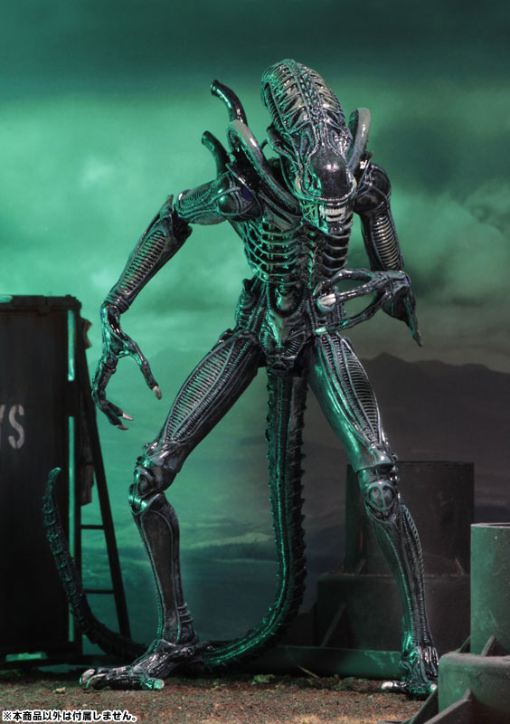 Alien - Alien Warrior Ultimate 7 Inch Action Figure: 2Type Set
