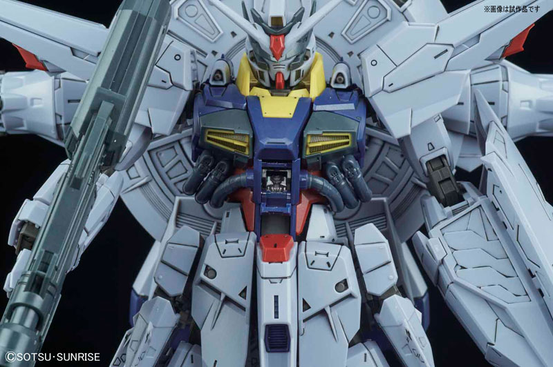 MG Mobile Suit Gundam SEED 1/100 Providence Gundam G.U.N.D.A.M. Premium Edition Plastic Model