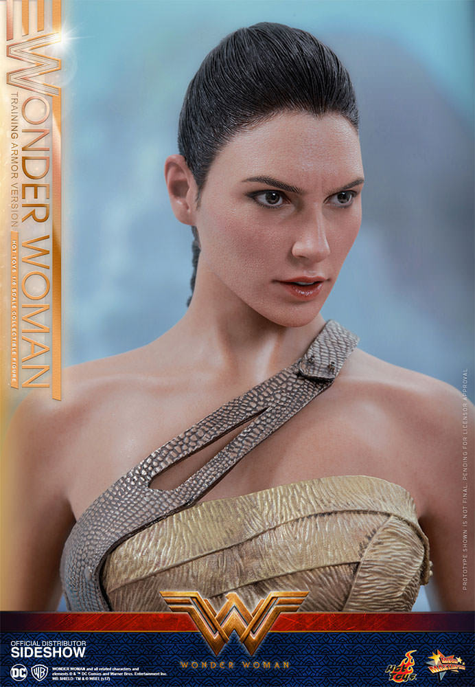Wonder Woman (Training Armor Version)
