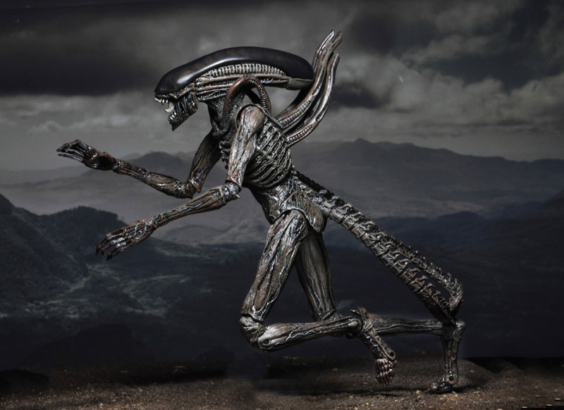 Alien: Covenant - Xenomorph 7 Inch Action Figure