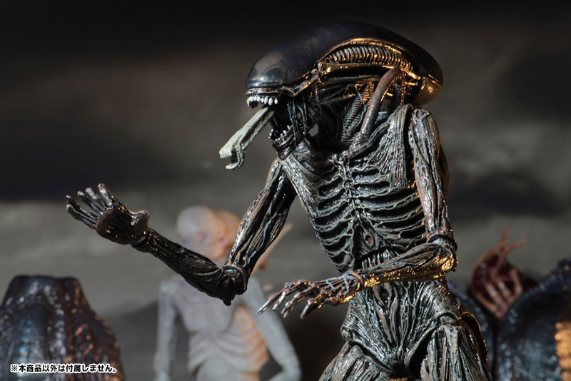 Alien: Covenant - Xenomorph 7 Inch Action Figure