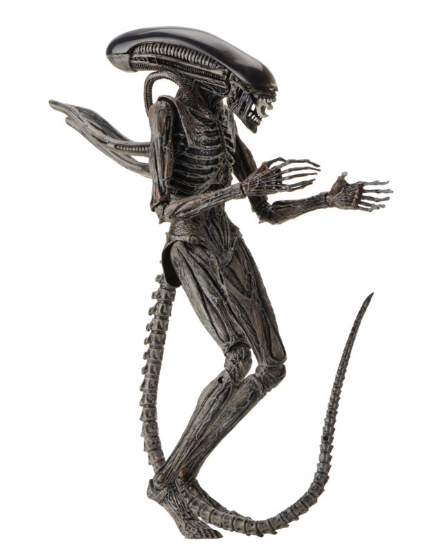 Alien: Covenant - Xenomorph 7 Inch Action Figure