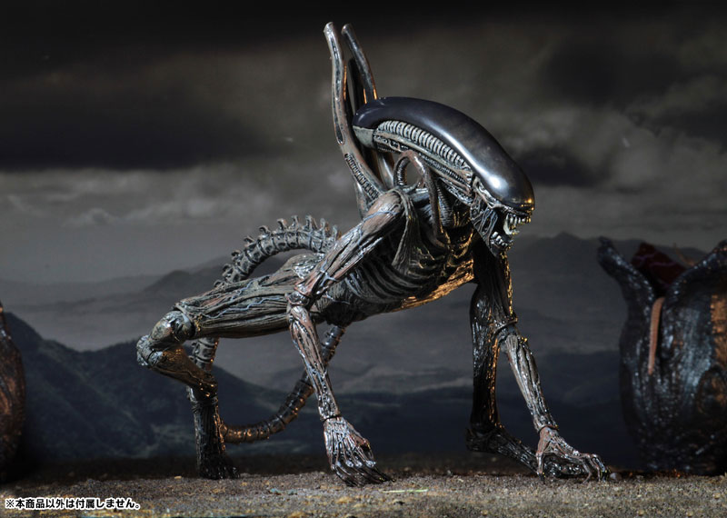 Alien: Covenant - Xenomorph 7 Inch Action Figure