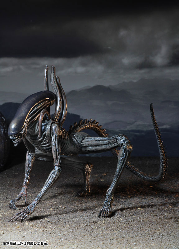 Alien: Covenant - Xenomorph 7 Inch Action Figure