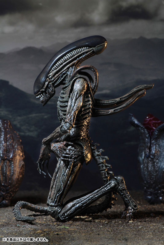 Alien: Covenant - Xenomorph 7 Inch Action Figure