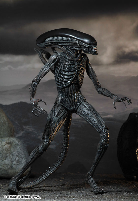 Alien: Covenant - Xenomorph 7 Inch Action Figure