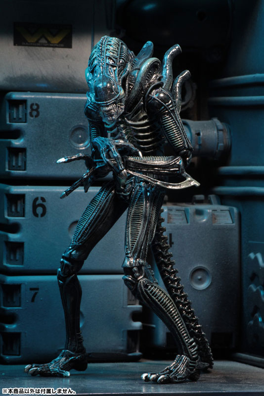 Alien - Alien Warrior Ultimate 7 Inch Action Figure: 2Type Set