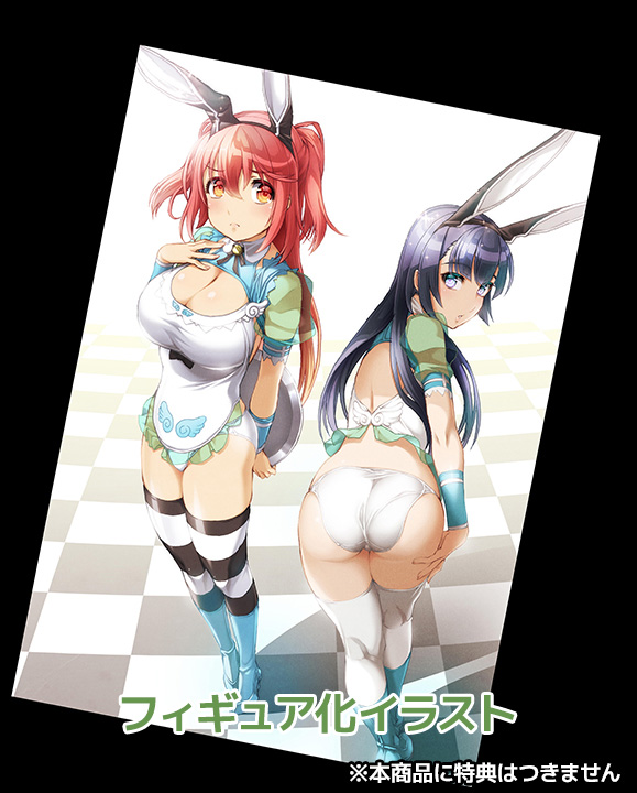 “Sword & Wizards” Yukishiro Fuyuka Bunny ver. by Amakuni