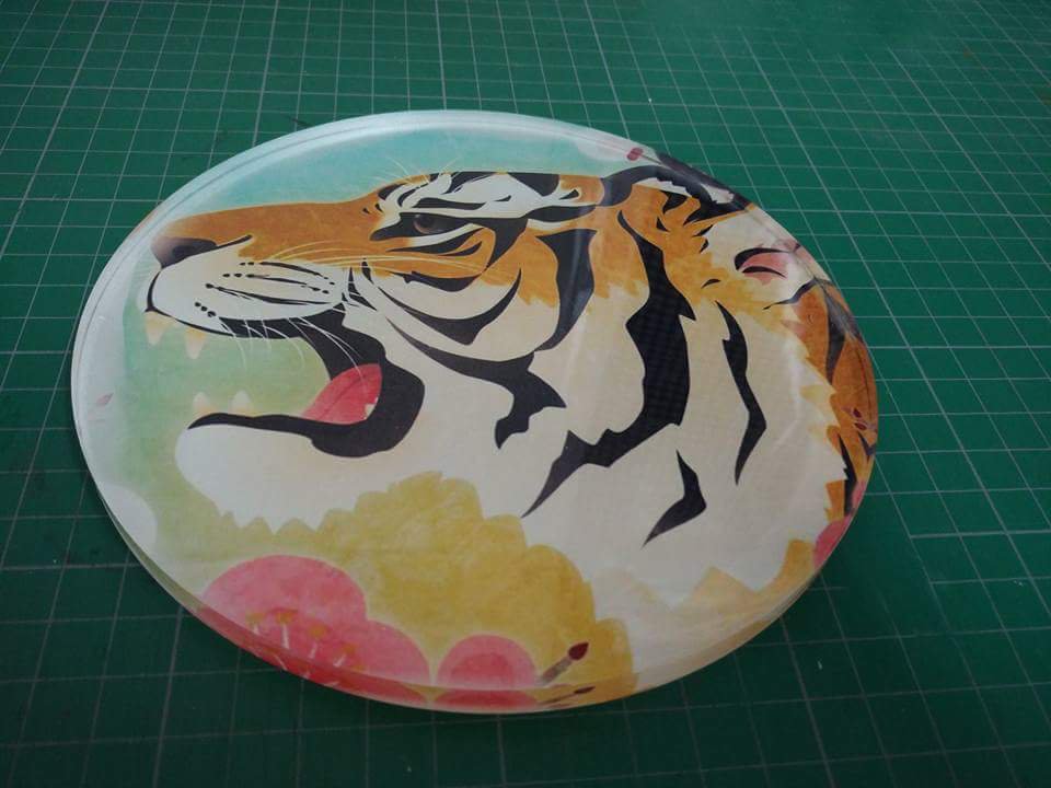 Fio Resin Kit