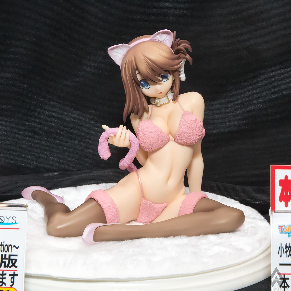 รวมภาพถ่ายฟิกเกอร์ 18+ จากงาน Wonder Festival 2018 [Winter]