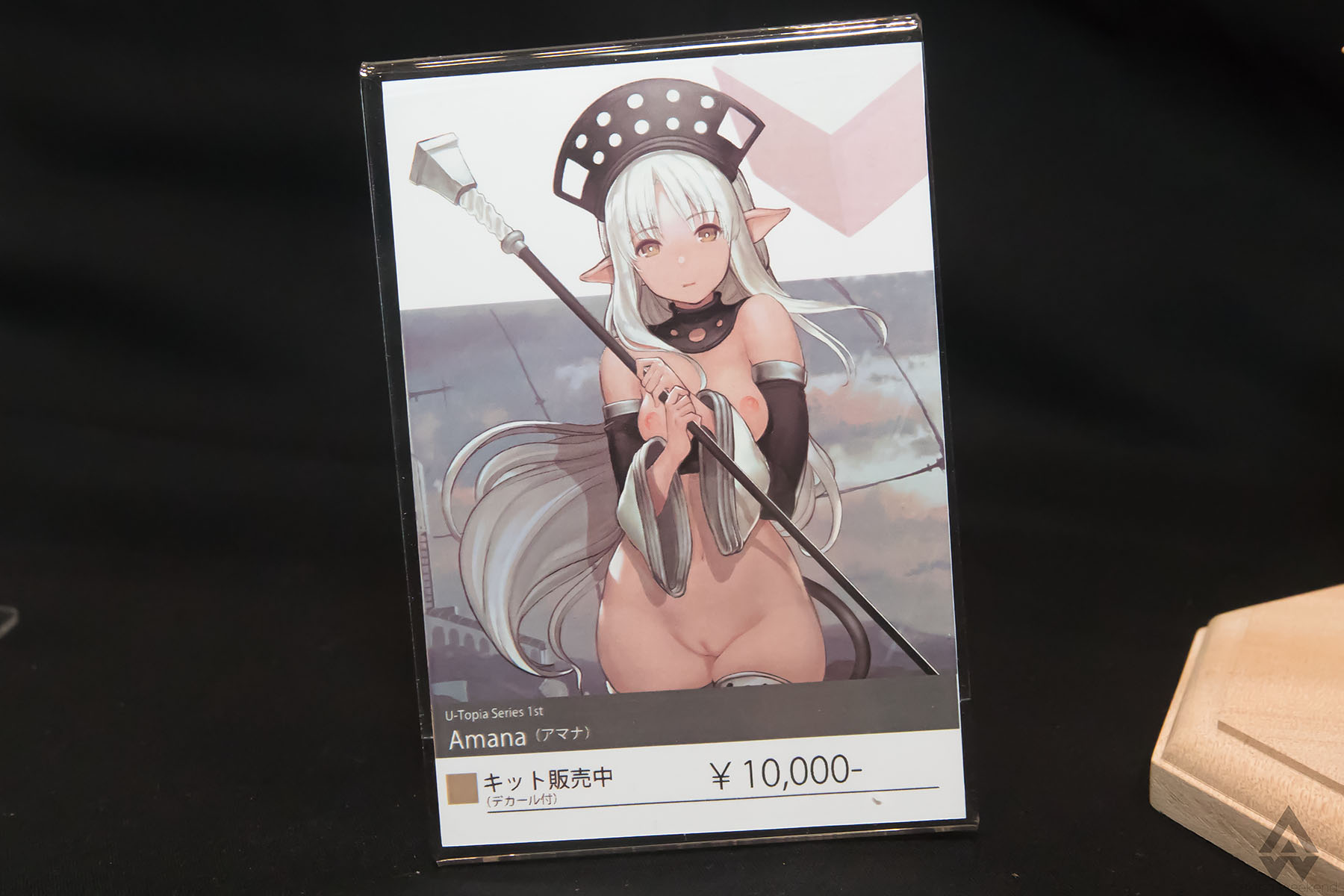 รวมภาพถ่ายฟิกเกอร์ 18+ จากงาน Wonder Festival 2018 [Winter]