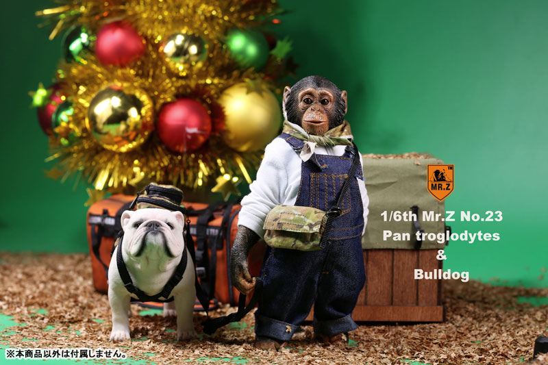 1/6 Chimpanzee & Bulldog Statue