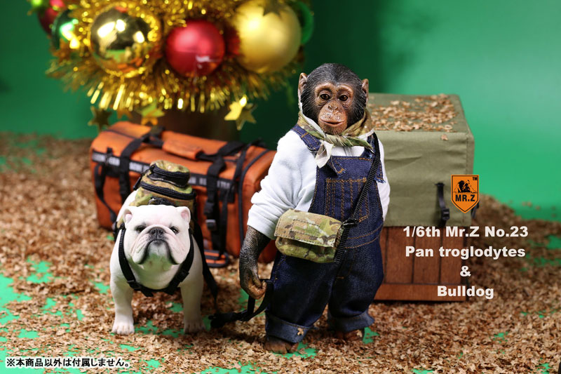 1/6 Chimpanzee & Bulldog Statue