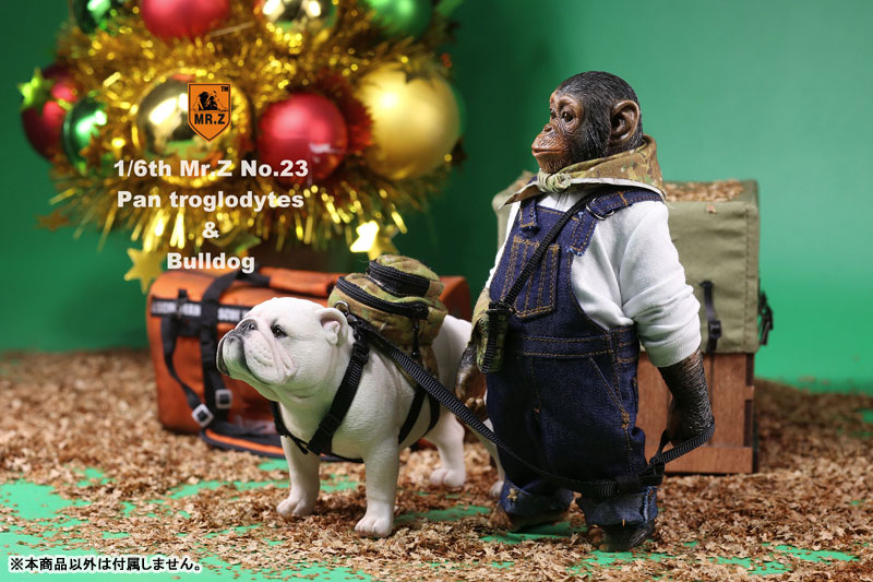 1/6 Chimpanzee & Bulldog Statue
