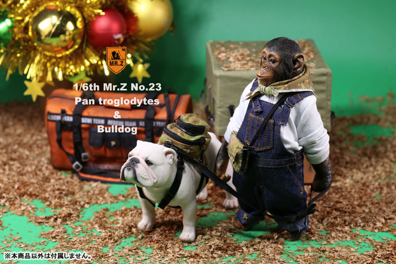 1/6 Chimpanzee & Bulldog Statue