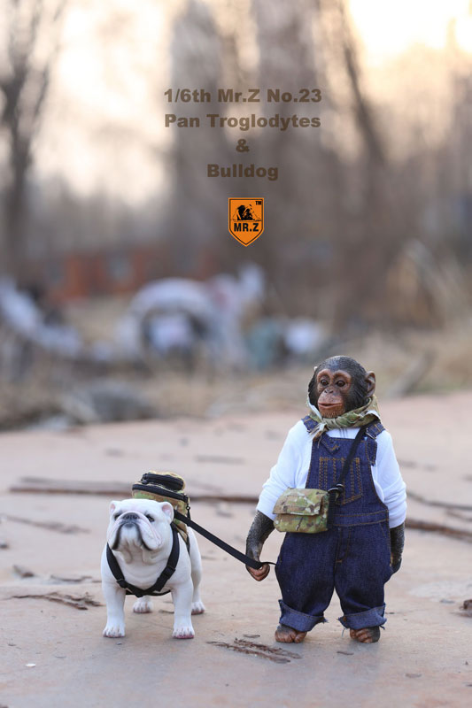 1/6 Chimpanzee & Bulldog Statue